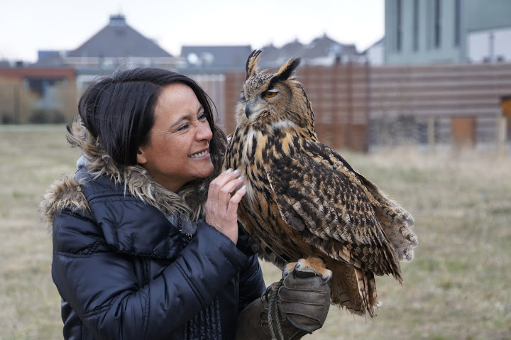 teambuilding met roofvogels