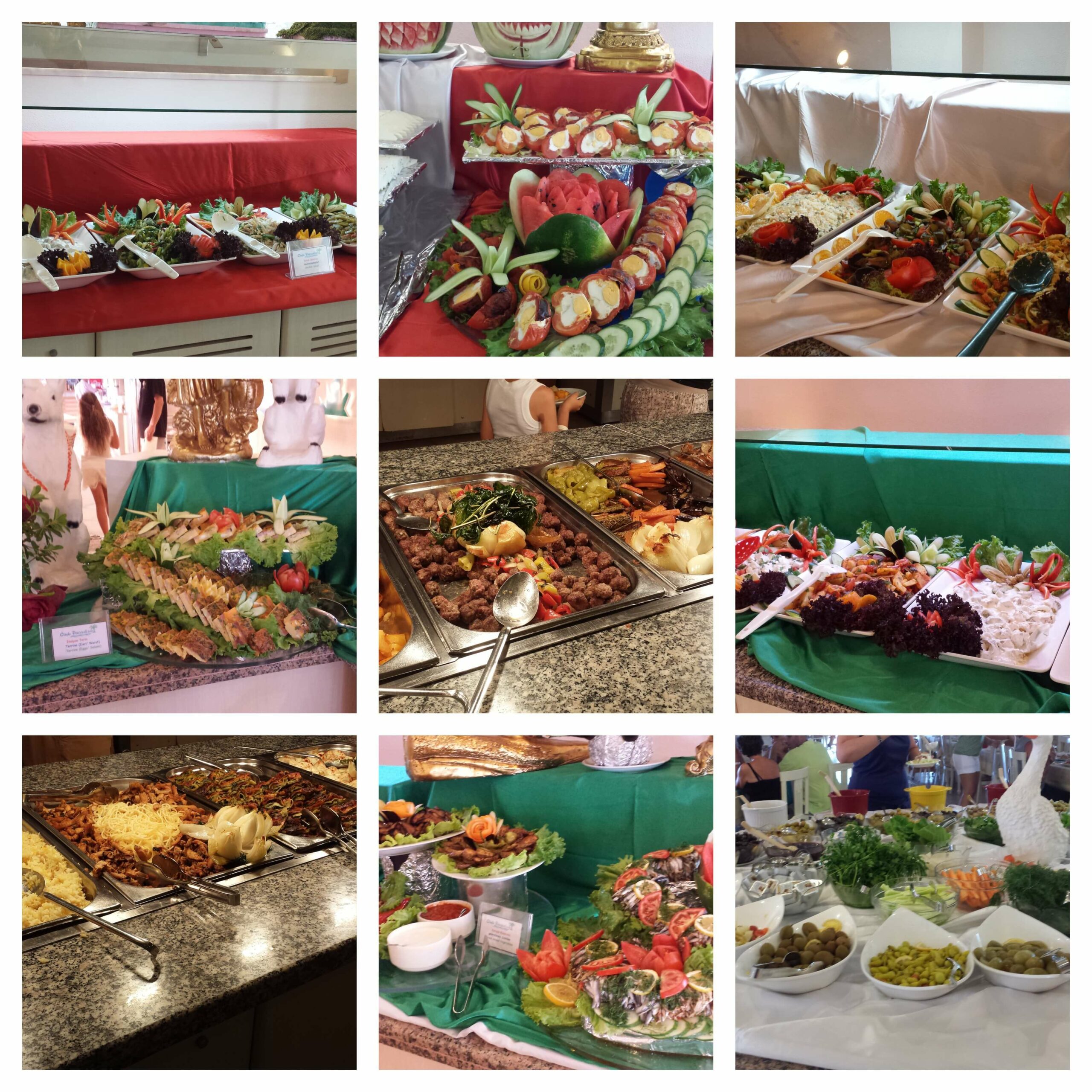 glutenvrije catering