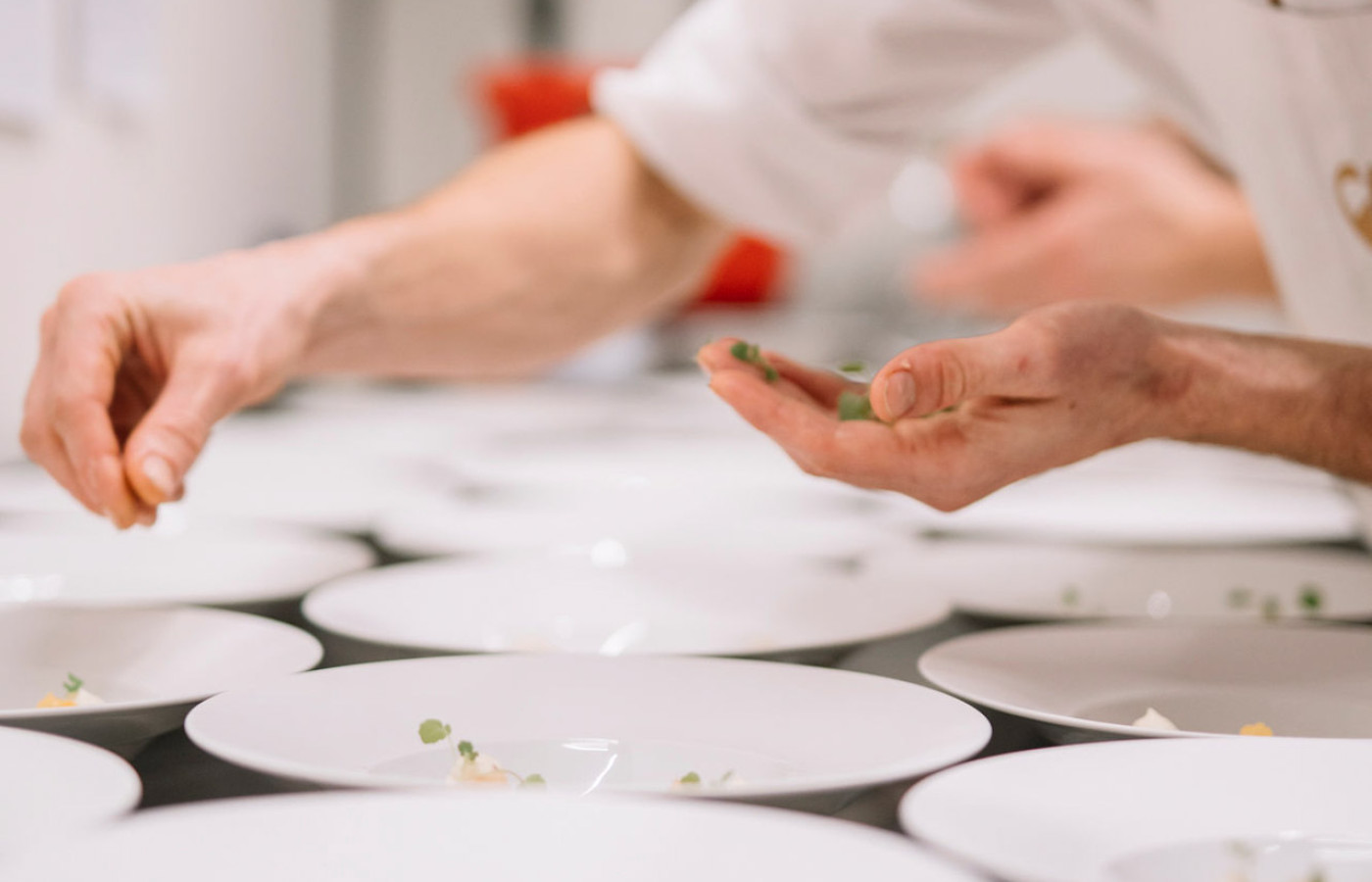 evenementen en concepten